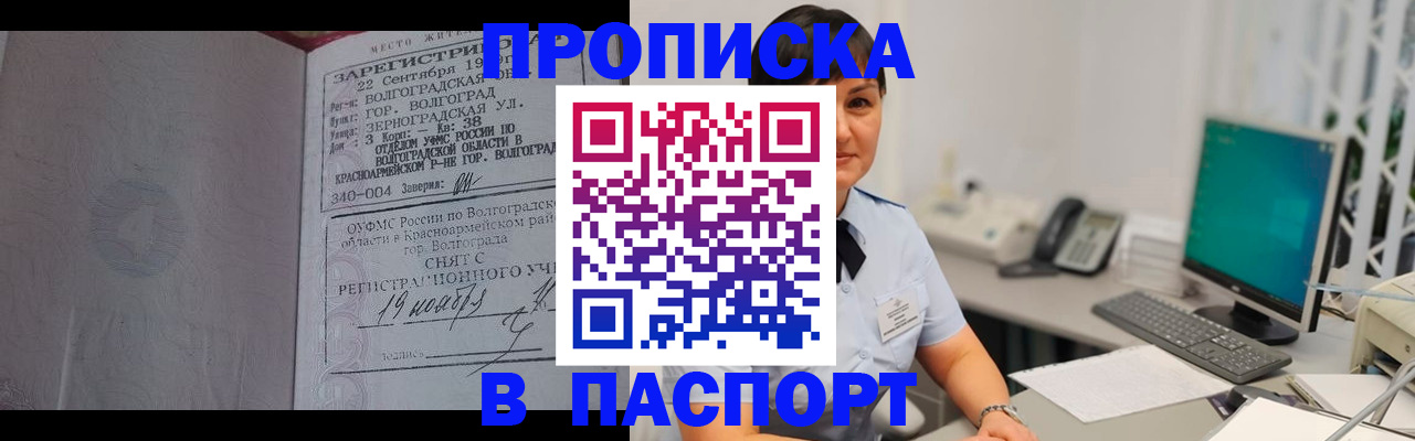 найти адрес прописки в Стародубе